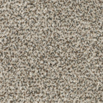 Load image into Gallery viewer, Refreshing Shades - ['Majestic'] (['739'])
