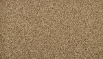Load image into Gallery viewer, Sleek Tones - ['Mocha Brown'] (['866'])
