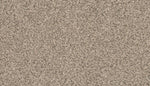 Load image into Gallery viewer, Revive - ['Silver Dollar'] (['02'])
