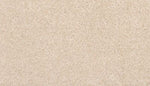 Load image into Gallery viewer, Revive Mohawk EverStrand carpet
