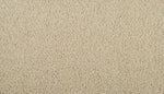Load image into Gallery viewer, Sleek Tones Mohawk EverStrand carpet
