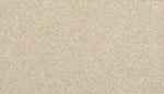 Load image into Gallery viewer, Tectonic - ['Bleached Almond'] (['728'])
