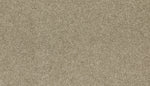 Load image into Gallery viewer, Up The Ante - ['Tradewinds'] (['917'])
