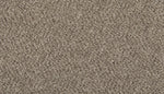 Load image into Gallery viewer, Tectonic - ['Shimmer Ash'] (['879'])
