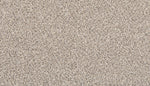 Load image into Gallery viewer, Tectonic - ['Silver Dollar'] (['938'])
