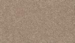 Load image into Gallery viewer, Legacy Mohawk EverStrand carpet
