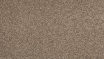 Load image into Gallery viewer, Zestful Traits I - ['Filigree'] (['865'])
