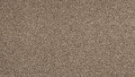 Load image into Gallery viewer, Zestful Traits II - ['Filigree'] (['865'])
