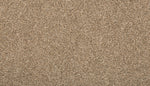 Load image into Gallery viewer, Terrain II - ['Flax Seed'] (['789'])
