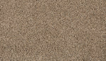 Load image into Gallery viewer, Remodeled III - ['Flax Seed'] (['14'])
