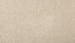 Load image into Gallery viewer, Renovate III Mohawk EverStrand carpet
