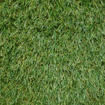 Load image into Gallery viewer, Palermo 3431 Grass detail
