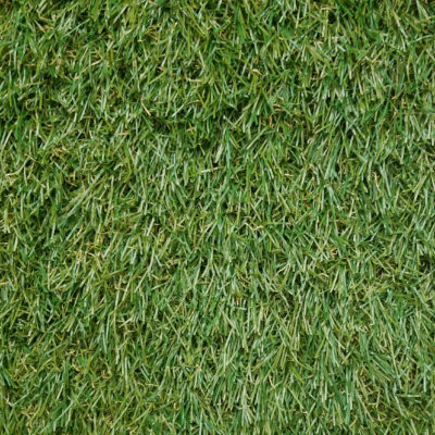 Palermo 3431 Grass