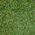 Load image into Gallery viewer, Palermo 3431 Grass - 122
