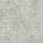 Load image into Gallery viewer, Perfection - Extraordinary
