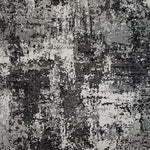 Load image into Gallery viewer, Picturesque - 697 Meteorite
