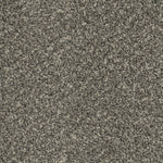 Load image into Gallery viewer, Sp250 DreamWeaver carpet
