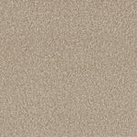 Load image into Gallery viewer, Sp251 DreamWeaver carpet
