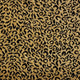Wild Jaguar