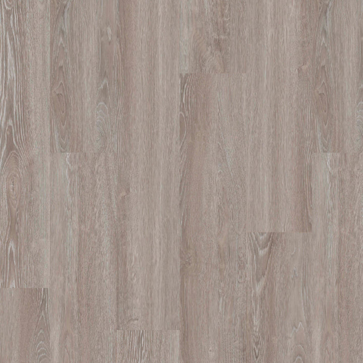 Timeless Plank