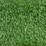 Load image into Gallery viewer, Torino 3436 Grass - 231
