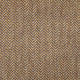 Sahara