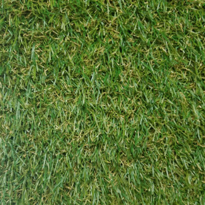 Venice 3496 Grass