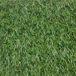 Load image into Gallery viewer, Venice 3496 Grass - 130
