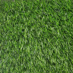 Load image into Gallery viewer, Venice 3496 Grass - 230
