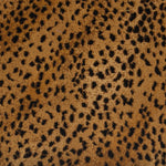 Load image into Gallery viewer, Wild Asia - Badger

