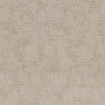Load image into Gallery viewer, Artistic Presence Shaw nylon carpet
