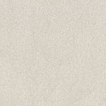 Load image into Gallery viewer, Cozy Harbor I Shaw nylon carpet
