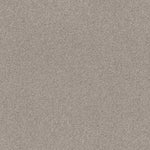 Load image into Gallery viewer, Shaw Cozy Harbor I - Baltic Stone (00128) - CC78B-00128
