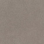 Load image into Gallery viewer, Shaw Cozy Harbor I - Stucco (00724) - CC78B-00724
