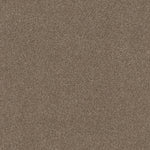 Load image into Gallery viewer, Shaw Cozy Harbor I - Tumbleweed (00749) - CC78B-00749
