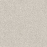 Load image into Gallery viewer, Cozy Harbor Ii Shaw nylon carpet
