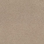 Load image into Gallery viewer, Shaw Cozy Harbor Ii - Natural Beauty (00721) - CC79B-00721
