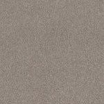Load image into Gallery viewer, Shaw Cozy Harbor Ii - Stucco (00724) - CC79B-00724
