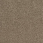 Load image into Gallery viewer, Shaw Cozy Harbor Ii - Tumbleweed (00749) - CC79B-00749
