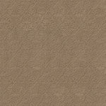 Load image into Gallery viewer, Shaw Modern Amenities - White Pine (00720) - CCP43-00720
