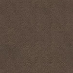 Load image into Gallery viewer, Shaw Modern Amenities - Spring-Wood (00725) - CCP43-00725

