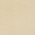 Load image into Gallery viewer, Westminster Shaw nylon carpet
