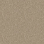 Load image into Gallery viewer, One Over All Shaw nylon carpet
