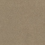 Load image into Gallery viewer, Shaw Magic At Last I 12' - Balanced Beige (00145) - E0200-00145
