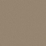 Load image into Gallery viewer, Shaw Magic At Last I 12' - Alabaster (00149) - E0200-00149
