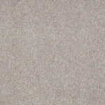 Load image into Gallery viewer, Shaw Magic At Last Ii 12 - Gunmetal (00501) - E0201-00501
