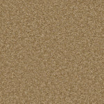 Load image into Gallery viewer, Shaw Magic At Last Ii 12 - Malted Milk (00700) - E0201-00700
