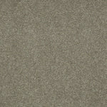 Load image into Gallery viewer, Shaw Magic At Last Iv 12 - Gunmetal (00501) - E0205-00501
