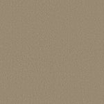 Load image into Gallery viewer, Shaw Magic At Last Iv 15' - Balanced Beige (00145) - E0237-00145
