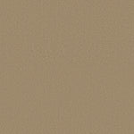 Load image into Gallery viewer, Shaw Magic At Last Iv 15' - Shell (00148) - E0237-00148
